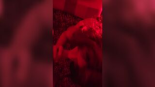 Il pompino di Alessia Trav Rimini