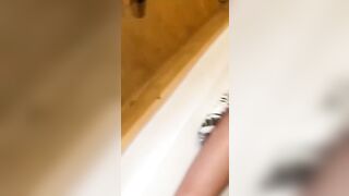 MOGLIE TROMBATA davanti al CORNUTO CHE SI SEGA !