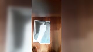 Tributo di un mio ammiratore