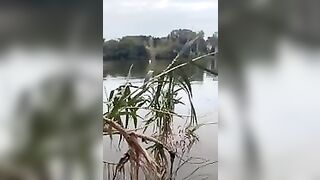 Topa bruna da schianto che succhia il pescione in barca