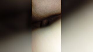 La vacca torna a casa riempita dal toro e la scopo