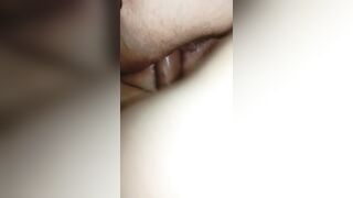 La vacca torna a casa riempita dal toro e la scopo