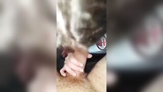 Tifosa del Milan succhia davvero bene il CAZZO