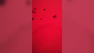 Centro massaggio cinese 3