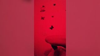 Escort cinese Parte 2