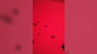 Escort cinese Parte 2