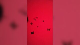 Escort cinese Parte 2