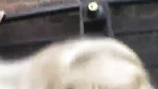 La bella puttanella scopa in un vicolo