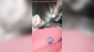 Il puttaniere se lo fa succhiare dalla troia