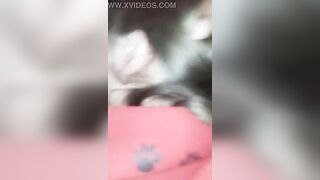 Il puttaniere se lo fa succhiare dalla troia