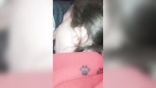 Il puttaniere se lo fa succhiare dalla troia