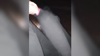 Sega l'uccello di un guradone al parco pubblico