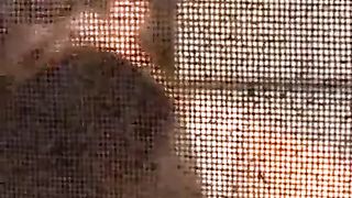 Calda casalinga indiana bacia appassionatamente suo marito