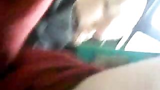 Esibizione del mio cazzo sul bus