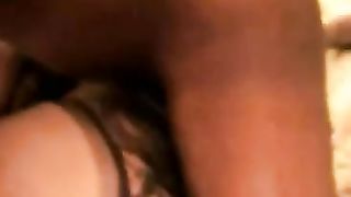 Enorme asta nera devasta figa cougar