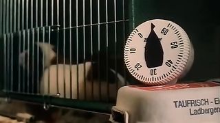 Rossa in lingerie cavalca cazzo duro