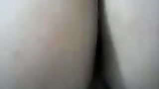 Strip in webcam di eccitata latina culona