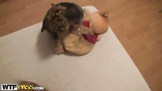 Video porno amatoriale brunetta inculata a pecorina