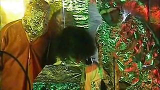 Extra Terrestre porno streaming italiano