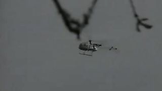 Il Marito film porno integrale con commento del regista