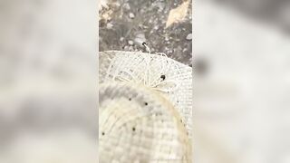 Moglie italiana succhia il cazzo al bull nella natura