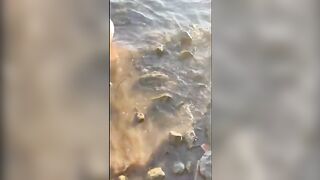 Anteprima del video: Pomeriggio di passione per esibizionisti NAPOLETANI