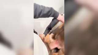 Impiegata cerca un nuovo lavoro ed è disposta a tutto