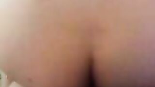 Grande porcellona di Rho, trombamica matura