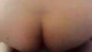 Grande porcellona di Rho, trombamica matura