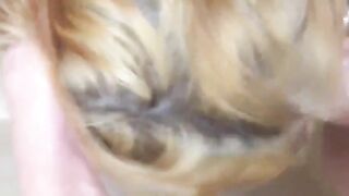 Me lo pompa sotto la doccia perchè vuole la sborra in gola