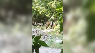 una prostituta si prende cura del suo cliente sul ciglio dell'autostrada