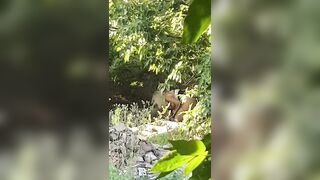 una prostituta si prende cura del suo cliente sul ciglio dell'autostrada