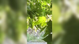 una prostituta si prende cura del suo cliente sul ciglio dell'autostrada