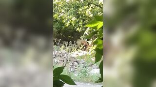 una prostituta si prende cura del suo cliente sul ciglio dell'autostrada