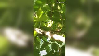 una prostituta si prende cura del suo cliente sul ciglio dell'autostrada