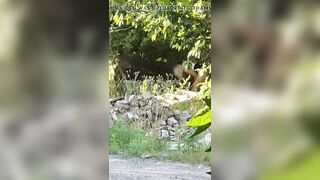 una prostituta si prende cura del suo cliente sul ciglio dell'autostrada