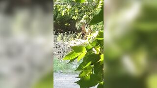 una prostituta si prende cura del suo cliente sul ciglio dell'autostrada