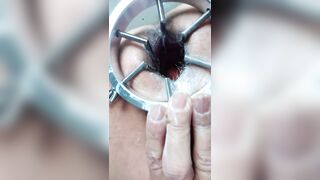 Anteprima del video: Pamela allarga le sue vedute