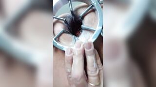 Pamela allarga le sue vedute