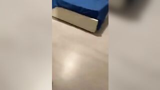 SCEMA!! DAI INGINOCCHIATI E SUCCHIALO !