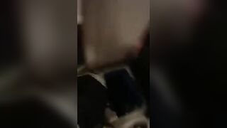 SCEMA!! DAI INGINOCCHIATI E SUCCHIALO !