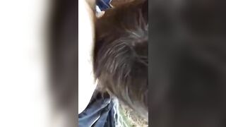 Piantala di filmare ora che ci beccano se fai lo scemo