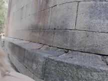 Infrattati al fiume i due maiali se la spassano