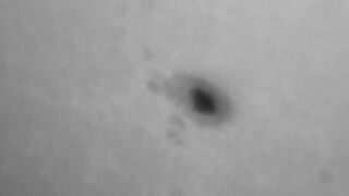 Anteprima del video: bbsdff