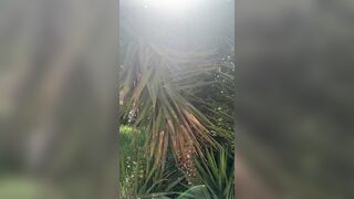 Pompino all'aperto 2