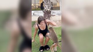 Anteprima del video: Questa topa lo fa rizzare anche alle scimmie