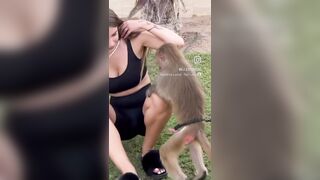 Questa topa lo fa rizzare anche alle scimmie