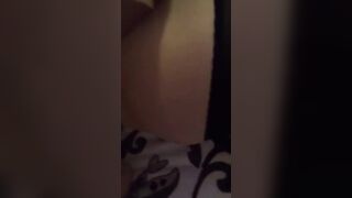 DARIO BERTOCCHI : LA MIA NUOVA AMICA BIONDA