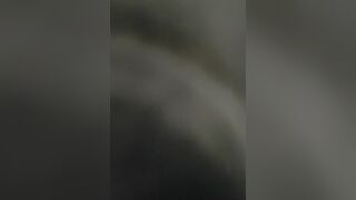 Skizza tanto la vacca