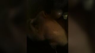 In compagnia della puttana della vicina Antonia